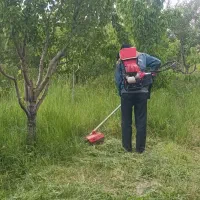 سمپاشی و علف های هرز و چمن زنی انجام میدهم