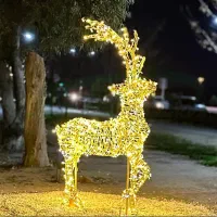 المان نورپردازی