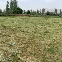 زمین کشاورزی ابلولان