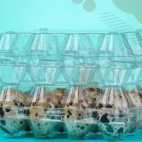 شانه تخم بلدرچین 12 تایی ، شانه ای 3،500