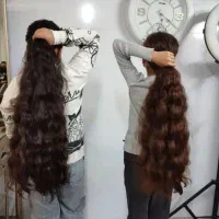 موشما