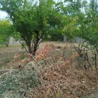 فروش-زمین-خوش-قیمت-در-نزدیکی-کوه