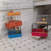 قفس پرنده