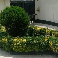 آپارتمان ۱۵۰ متر تکواحدی ۳ خوابه فرمانیه شرقی