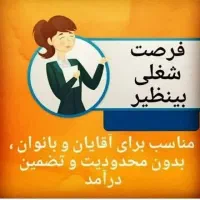 کارباگوشی برای خانمها وآقایان با درآمدخوب