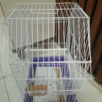 قفس پرنده