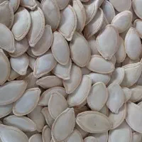 تخمه کدو خام درجه یک