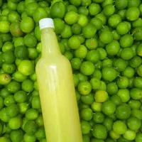 آبلیمو درجه یک اول تست کن بعد خرید کن