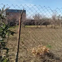 زمین-باغی-روستا-محمد-اباد-گرگان