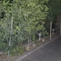 اجاره آپارتمان همکف ۱۱۰ متری دو خواب خاقانی