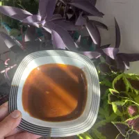 سمنو|خوردنی و آشامیدنی|قروه, |دیوار
