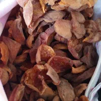 خوراک