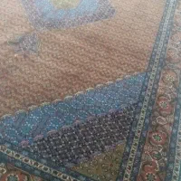 ۱۲ متری|فرش|اردبیل, |دیوار