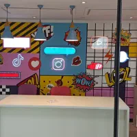 برقکار برقکشی