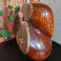 ساز تار خوش صدا و استاندارد نیمه حرفه ای