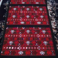 زی‌استین‌قرمز