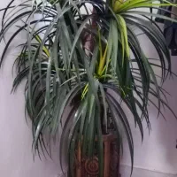 درخت مصنوعی با گلدان