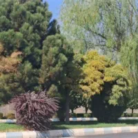اشترجان-ملک-اکازیون-با-سه-کاربری-تجاری-انبار-و-باغ