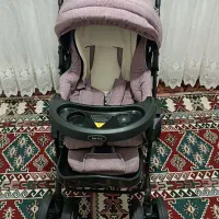 کالسکه دلیجان مدل بنیتا