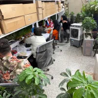 نیاز به ۲ ادمین پاسخگوی دایرکت خانم