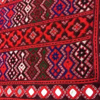 زی استبن