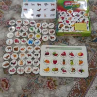 هوش چین