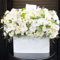 باکس گل خواستگاری /تولد/نوزاد
