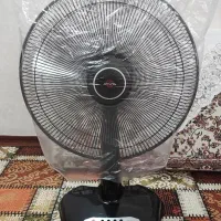 پنکه زمینی پنکه