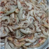 پاک و رگ گیری میگو