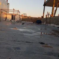 گنجه کبوتر