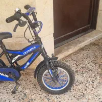 دوچرخه|دوچرخه، اسکیت، اسکوتر|شیراز, آبیاری|دیوار