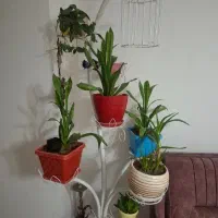 استند گل فلزی