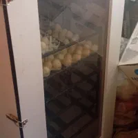 دستگاه جوجه کشی هدایت ۱۰۰۸