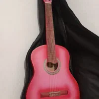 گیتار الگرو