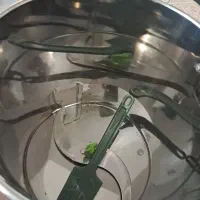 سبزی خورد کن سبز ایران