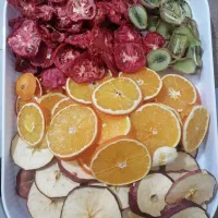 خشک‌ کن حرفه ای سبزیجات و میوجات، صیفی جات، لواشک