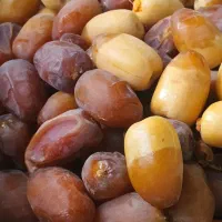 رطب درجه یک خشت