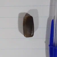 فروش دوعدد سنگ