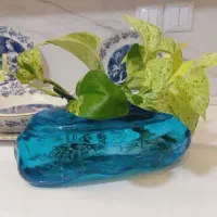 گلدان شیشه ای