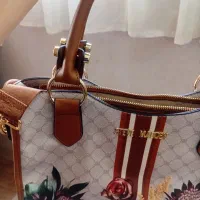 دوعدد کیف|کیف، کفش، کمربند|شیراز, تندگویان|دیوار