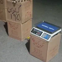 تخم‌مرغ تحویل مغازه 160هزار