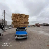 خریدو فروش پرس بسته بندی کلش گندم و جو