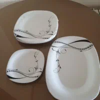 پیش دستی و پلوخوری و دیس