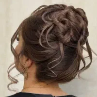 شینیونکار حرفه ای