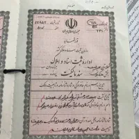 10-قصب-شهرک-نارجوییه