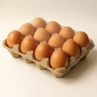 تخم مرغ محلی
