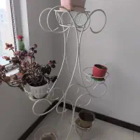 استندگل