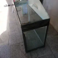 آکواریوم سالم