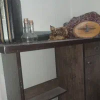 در حد نو