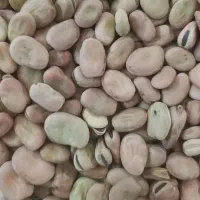 باقالی خشک تمیز
